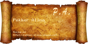 Pekker Alina névjegykártya